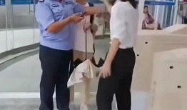 偷拍最新事件爆料,最新事件揭露隐私边界争议