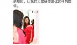 娱乐圈爆料世袭制,揭秘世袭制背后的权力传承秘密